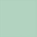 Tru-Color Paint 1 oz Paint, Pale Teal Stucco TCP419